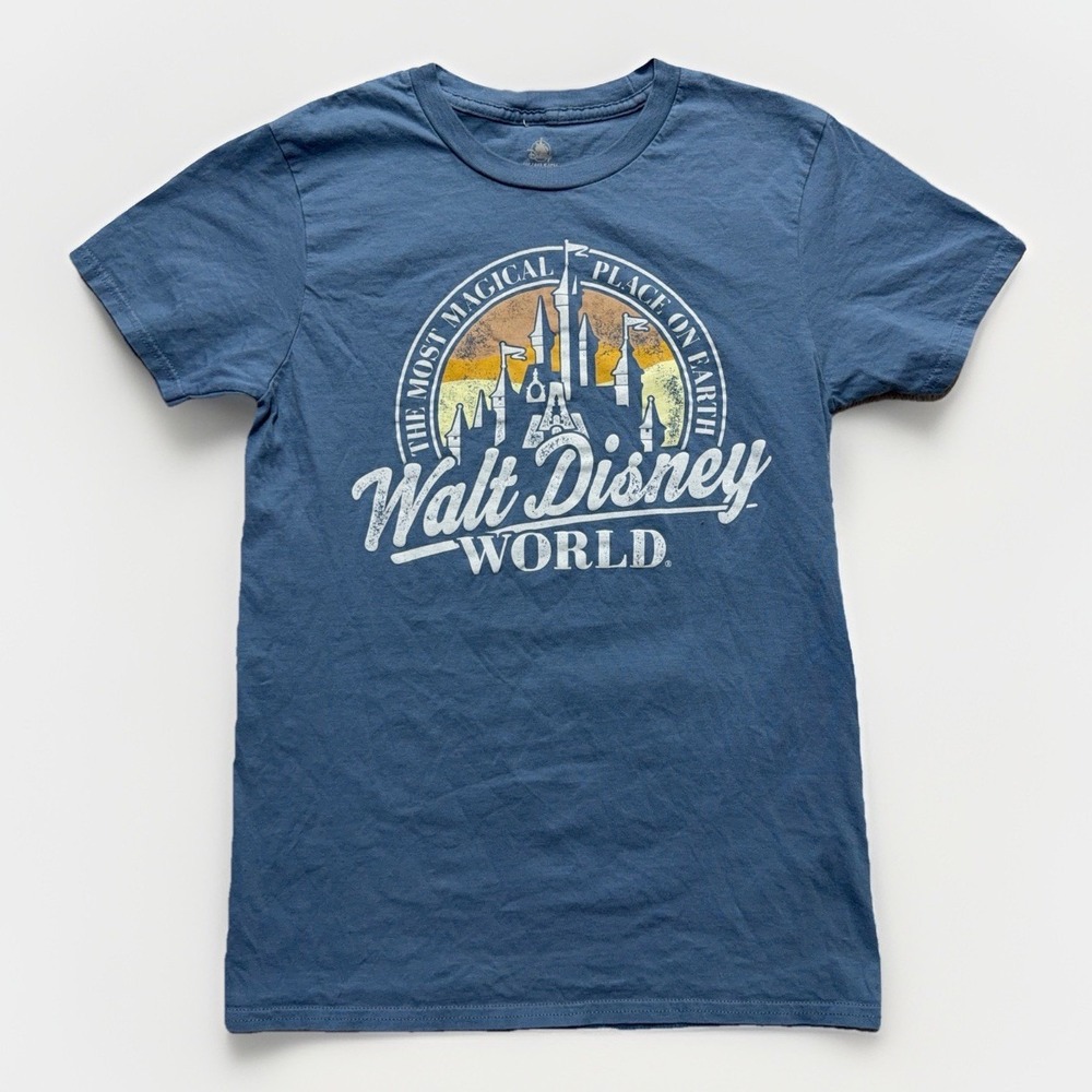 Disney World Parks Shirt Mens Small Blue Cinderella Castle Graphic Magical Tee - Picture 1 of 10